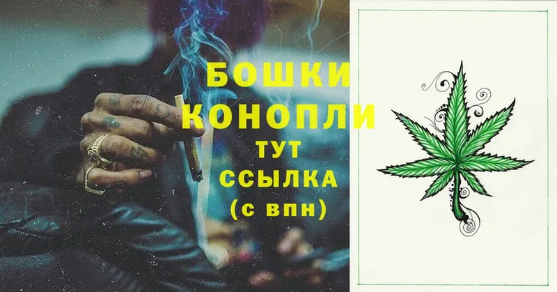 Бошки Шишки SATIVA & INDICA  где купить наркоту  darknet Telegram  Железногорск-Илимский 